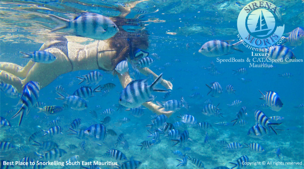 Snorkelling Aquarium Blue Bay Mauritius